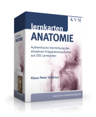 Lernkarten Anatomie