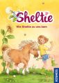 Sheltie. Wie Sheltie zu uns kam