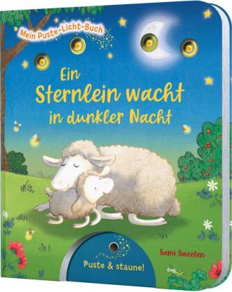 Mein Puste-Licht-Buch 6: Ein Sternlein wacht in dunkler Nacht