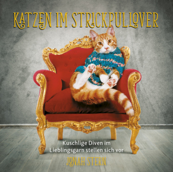 Katzen im Strickpullover