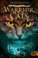 Warrior Cats - Das gebrochene Gesetz. Licht im Nebel