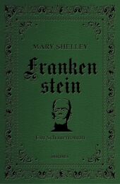 Frankenstein. Ein Schauerroman