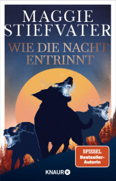 Wie die Nacht entrinnt