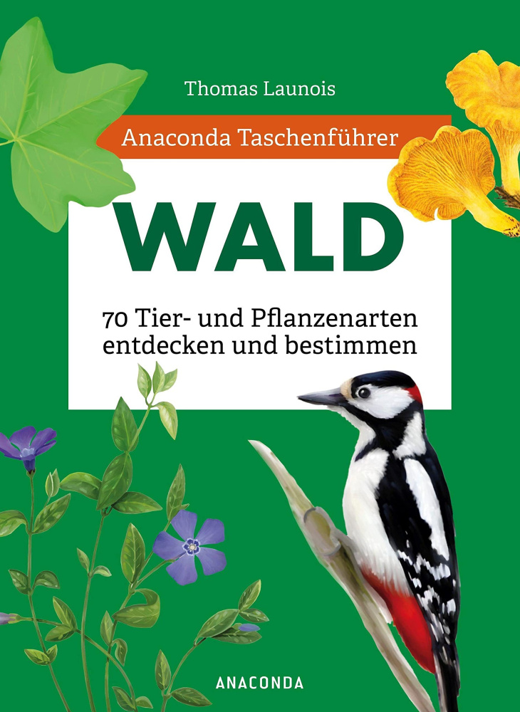 Wald