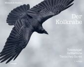 Der Kolkrabe - Totenvogel, Götterbote, tierisches Genie