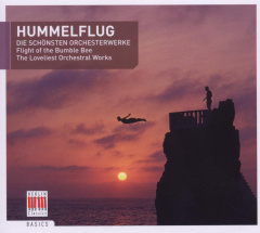 Hummelflug