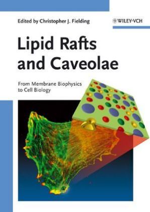 Lipid Rafts and Caveolae