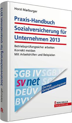 Praxis-Handbuch Sozialversicherung für Unternehmen 2013 inkl. E-Book