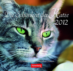 Die Schönheit der Katze