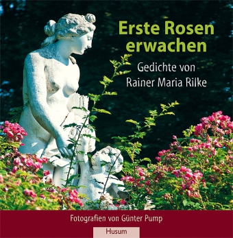 Erste Rosen erwachen