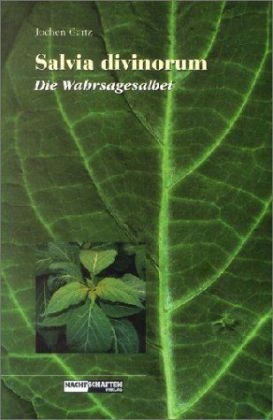 Salvia divinorum, Die Wahrsagesalbei