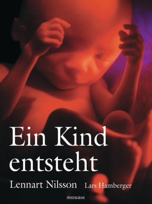 Ein Kind entsteht