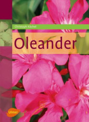 Oleander