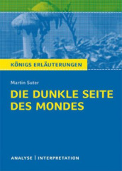 Die dunkle Seite des Mondes von Martin Suter