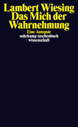 Das Mich der Wahrnehmung