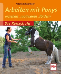 Arbeiten mit Ponys