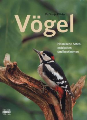 Vögel