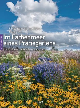 Im Farbenmeer eines Präriegartens