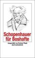 Schopenhauer für Boshafte