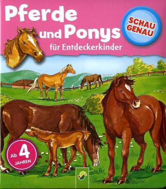 Pferde und Ponys