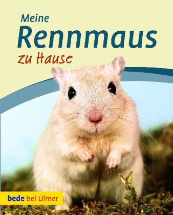 Meine Rennmaus zu Hause