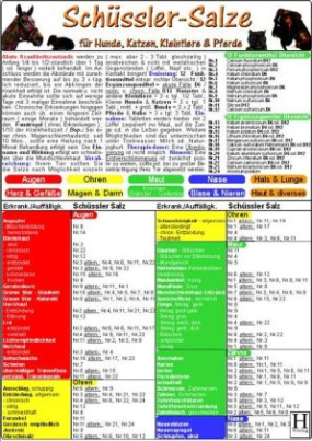 Schüssler-Salze für Hunde, Katzen, Kleintiere & Pferde, Tierheilkunde-Karte