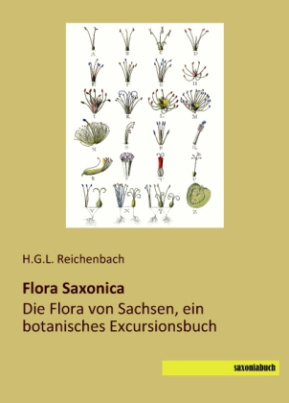 Flora Saxonica