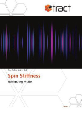 Spin Stiffness